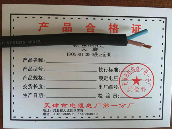 控制电缆 (4)