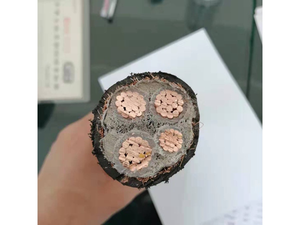 BPYJVP变频电缆 (1)
