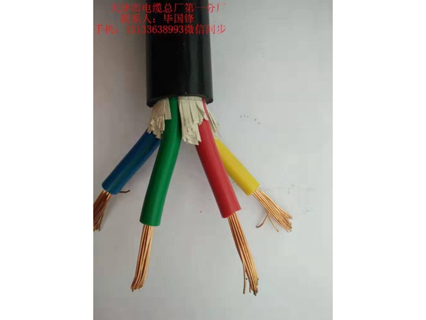 MKVVP22矿用屏蔽铠装控制电缆 (2)