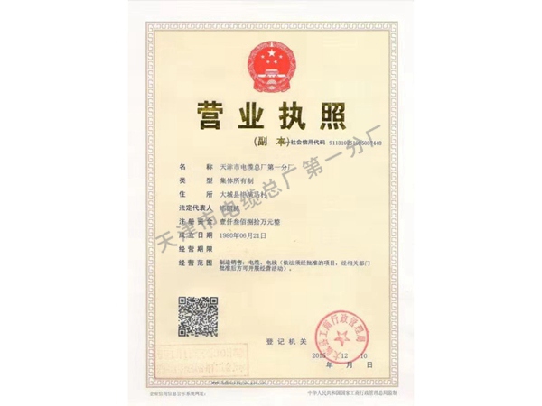 执照
