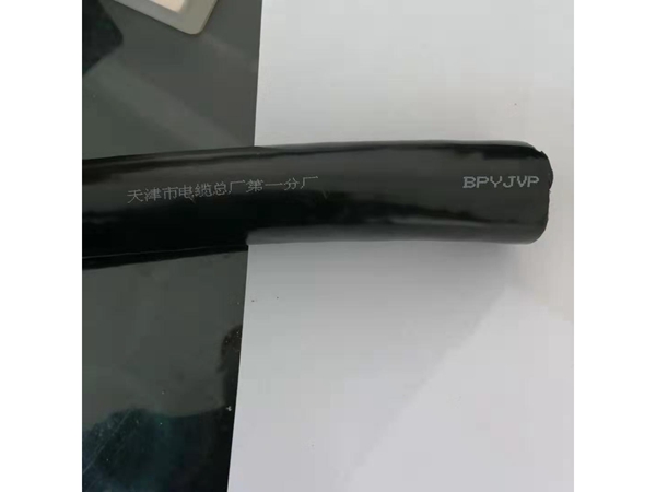 BPYJVP变频电缆 (2)