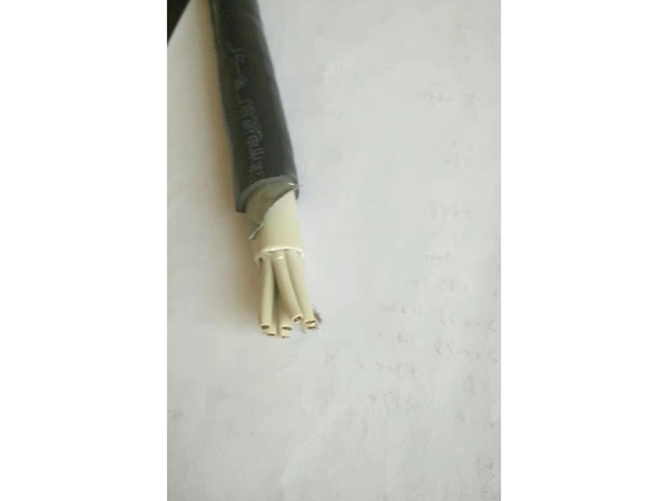 MKVVP矿用屏蔽控制电缆 (1)